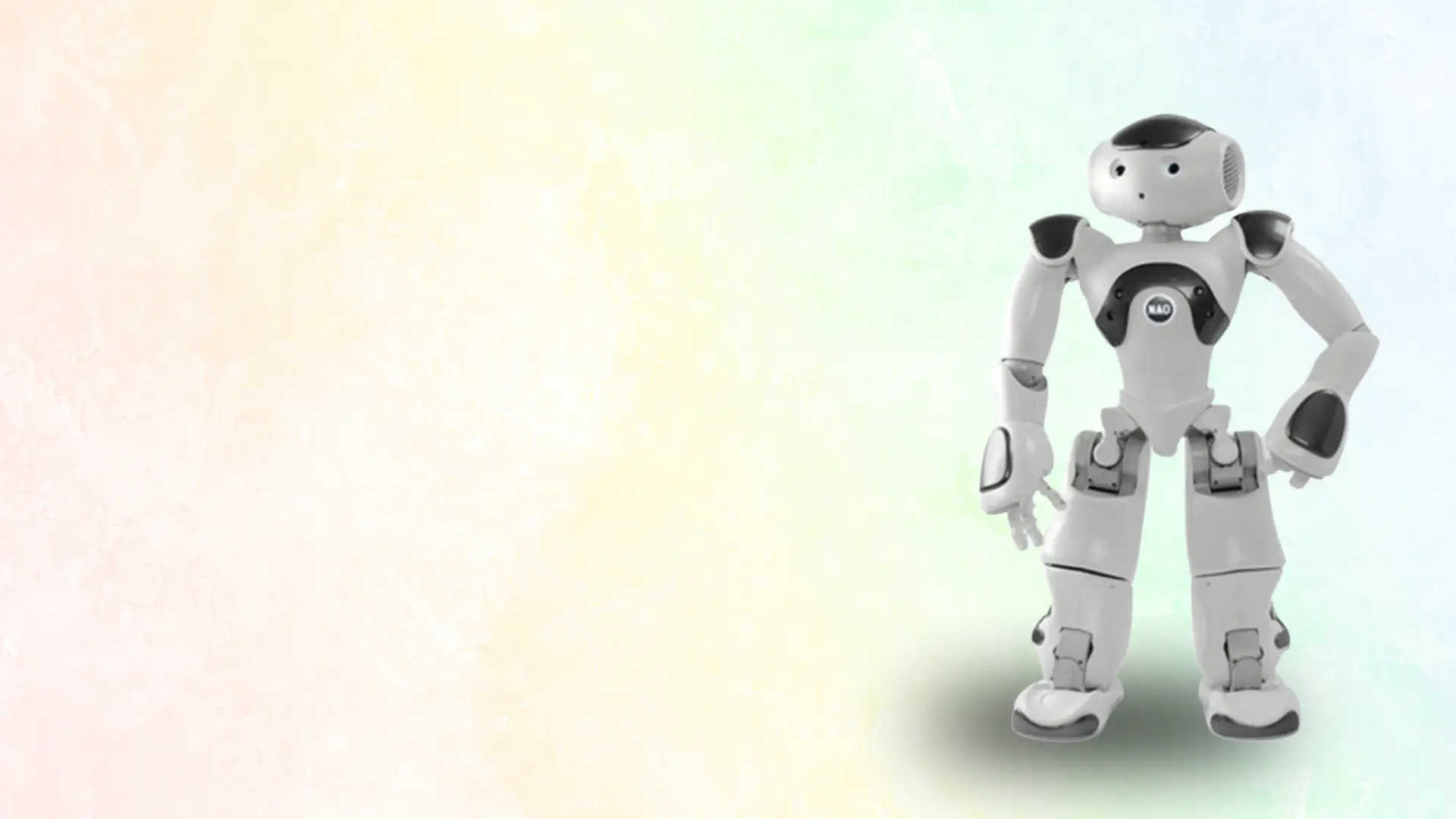 Maxtronics Nao6 Robot Full Body Mobility