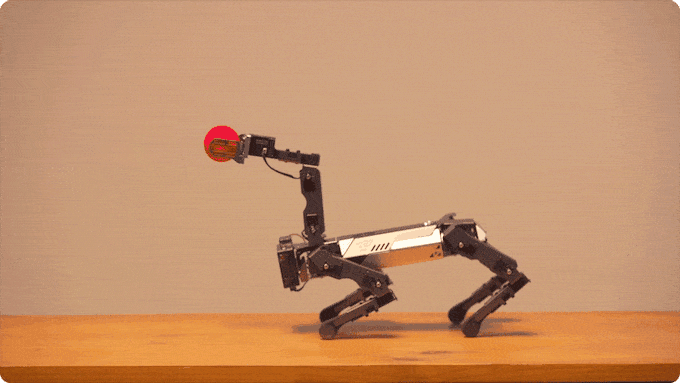 Chien robot quadrupède XGO Mini2 (UE)