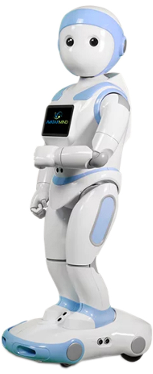 Robot Acompañante iPal
