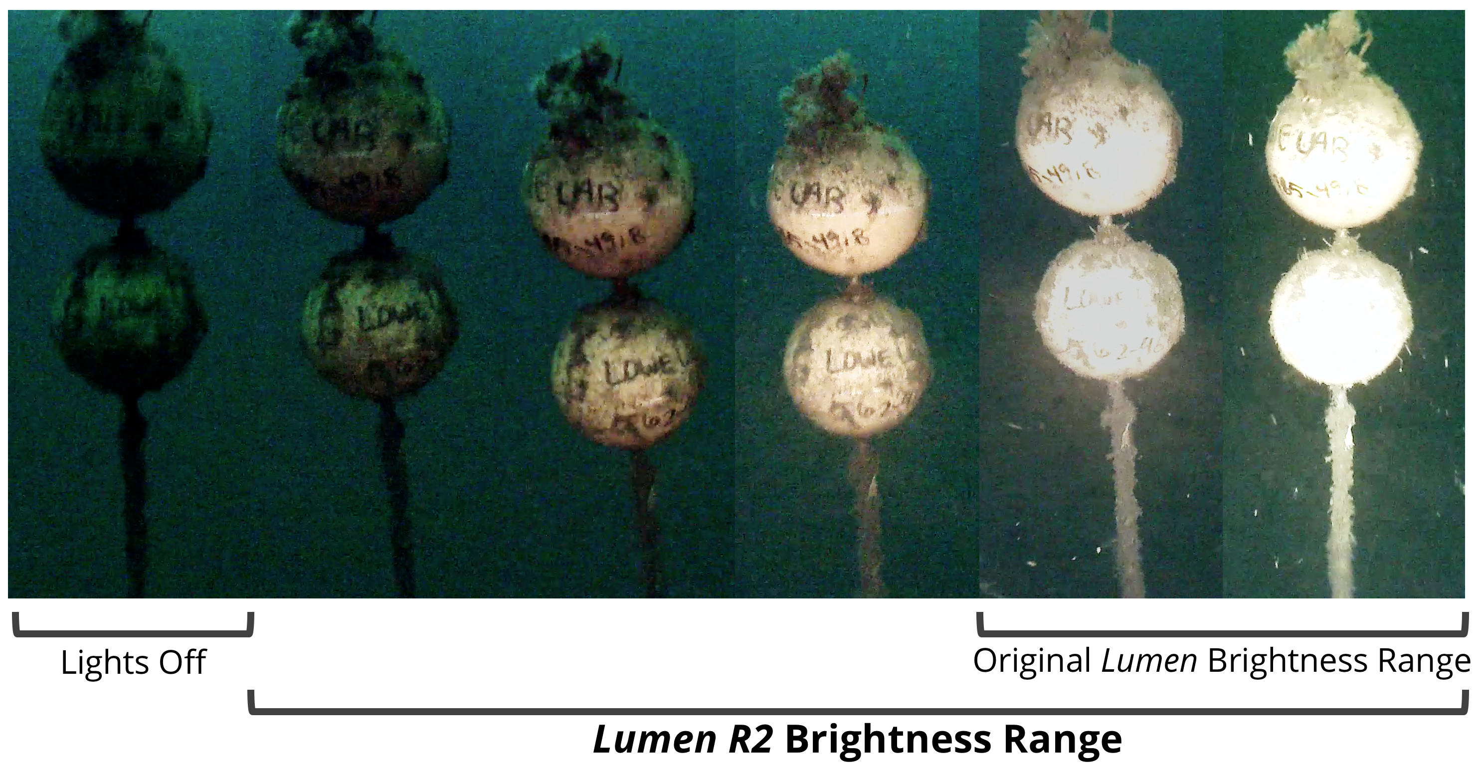 Lumières Lumen Subsea V2 Pré-Connectées BlueRobotics (4pk)