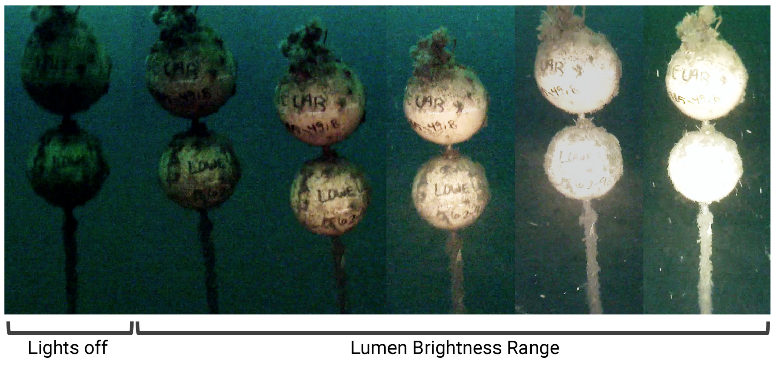 Lumière Lumen Subsea v3 BlueRobotics pour ROV/AUV - Cliquez pour agrandir