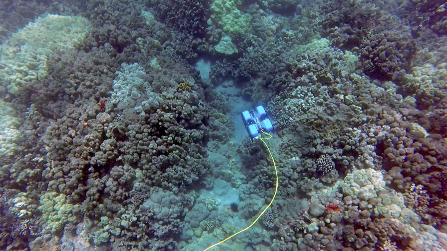 BlueROV2 Underwater Vehicle Kit w/150m Tether & 4 Lights - Click to Enlarge