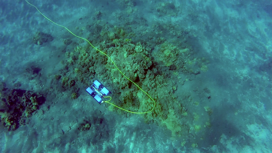 BlueROV2 Underwater Vehicle Kit w/150m Tether & 4 Lights - Click to Enlarge