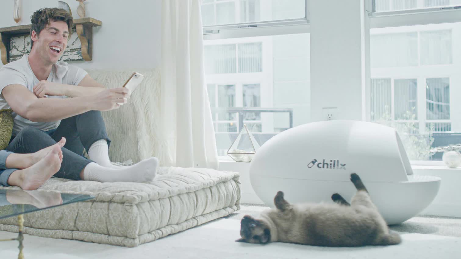 ChillX AutoEgg Self-Cleaning Litter Box - Click to Enlarge