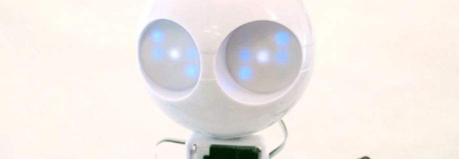 High School Humanoid Robot Bundle - Zum Vergrößern klicken