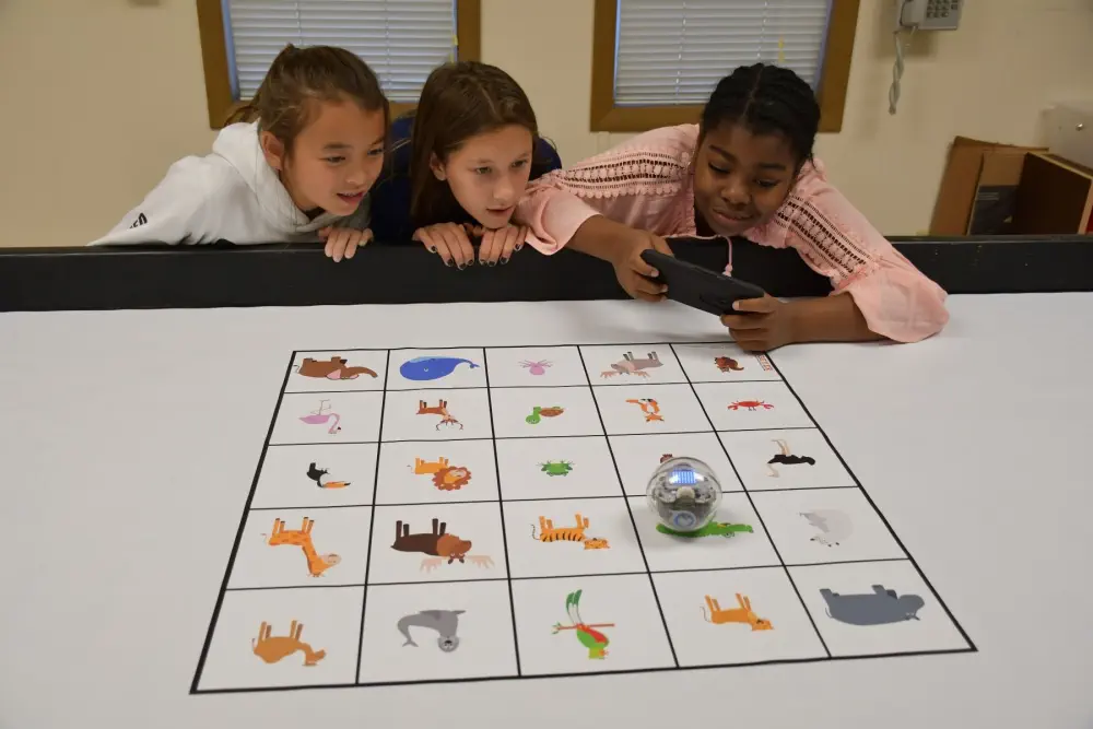 Animal Kingdom Code & Go Robotics Mat - Click to Enlarge