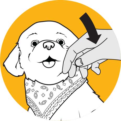 Cachorro Pecoso Mascota de Compañía de Ageless Innovations - Haga Clic para Ampliar