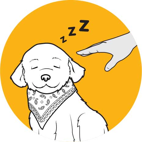 Cachorro Pecoso Mascota de Compañía de Ageless Innovations - Haga Clic para Ampliar