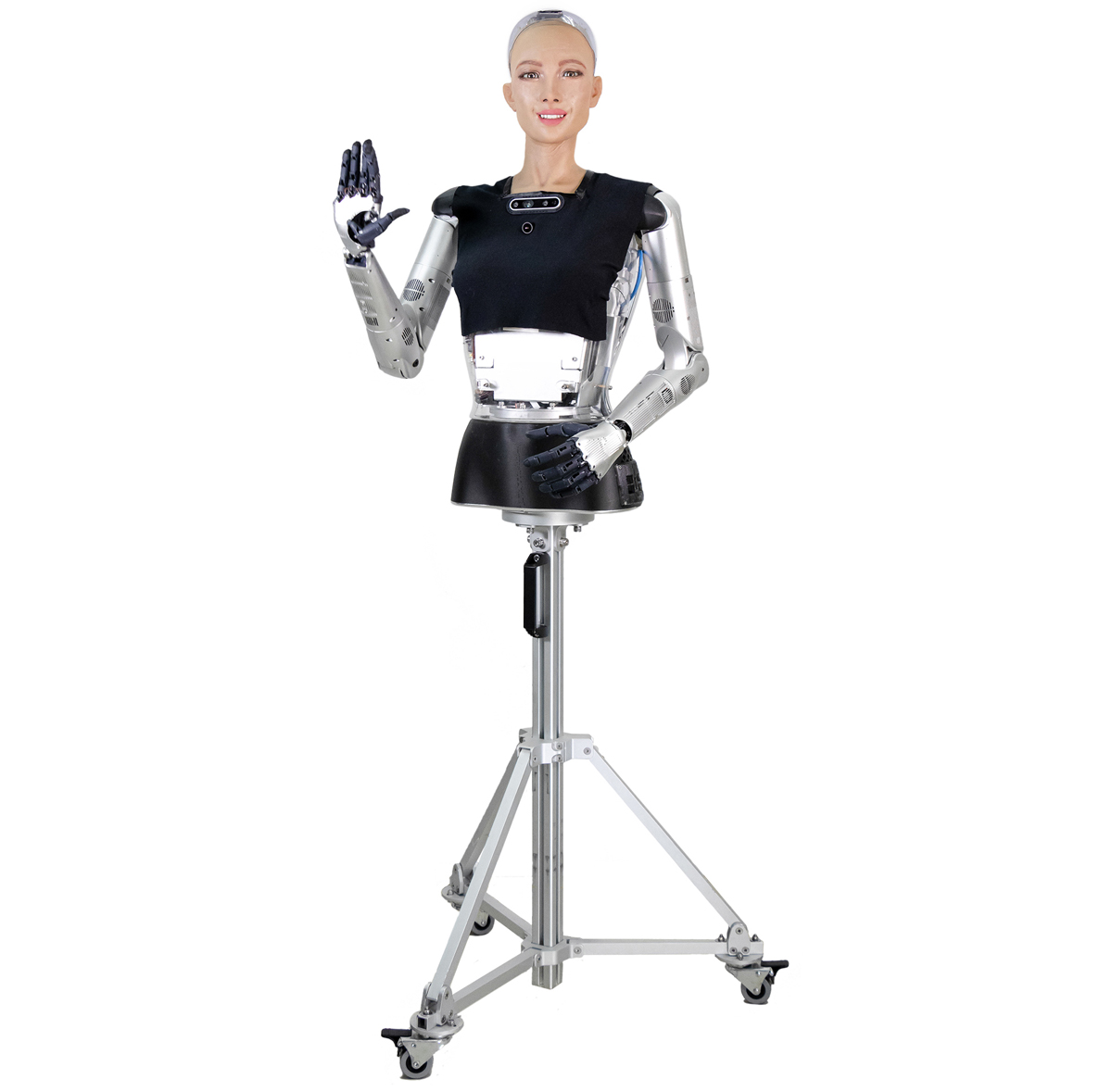 Hanson Robotics Sophia 2020, R&D Version - RobotShop