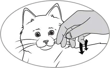 Chat Robot Interactif Noir et Blanc Ageless Innovations (Boîte Ouverte)