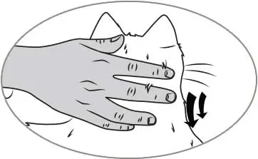 Chat Robot Interactif Noir et Blanc Ageless Innovations (Boîte Ouverte)