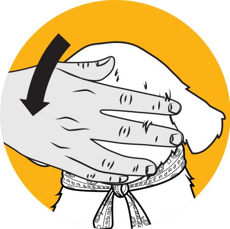 Cachorro Pecoso de Mascota de Compañía de Ageless Innovations - Haga Clic para Ampliar