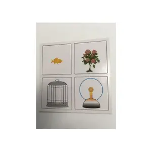 Snap Circuits Cartes d'Illusion