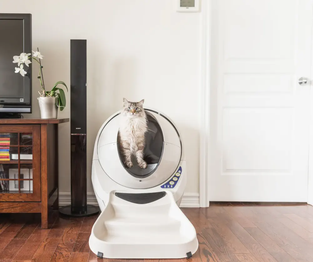 Litière à Nettoyage Automatique Litter-Robot 3 Connect - Gris