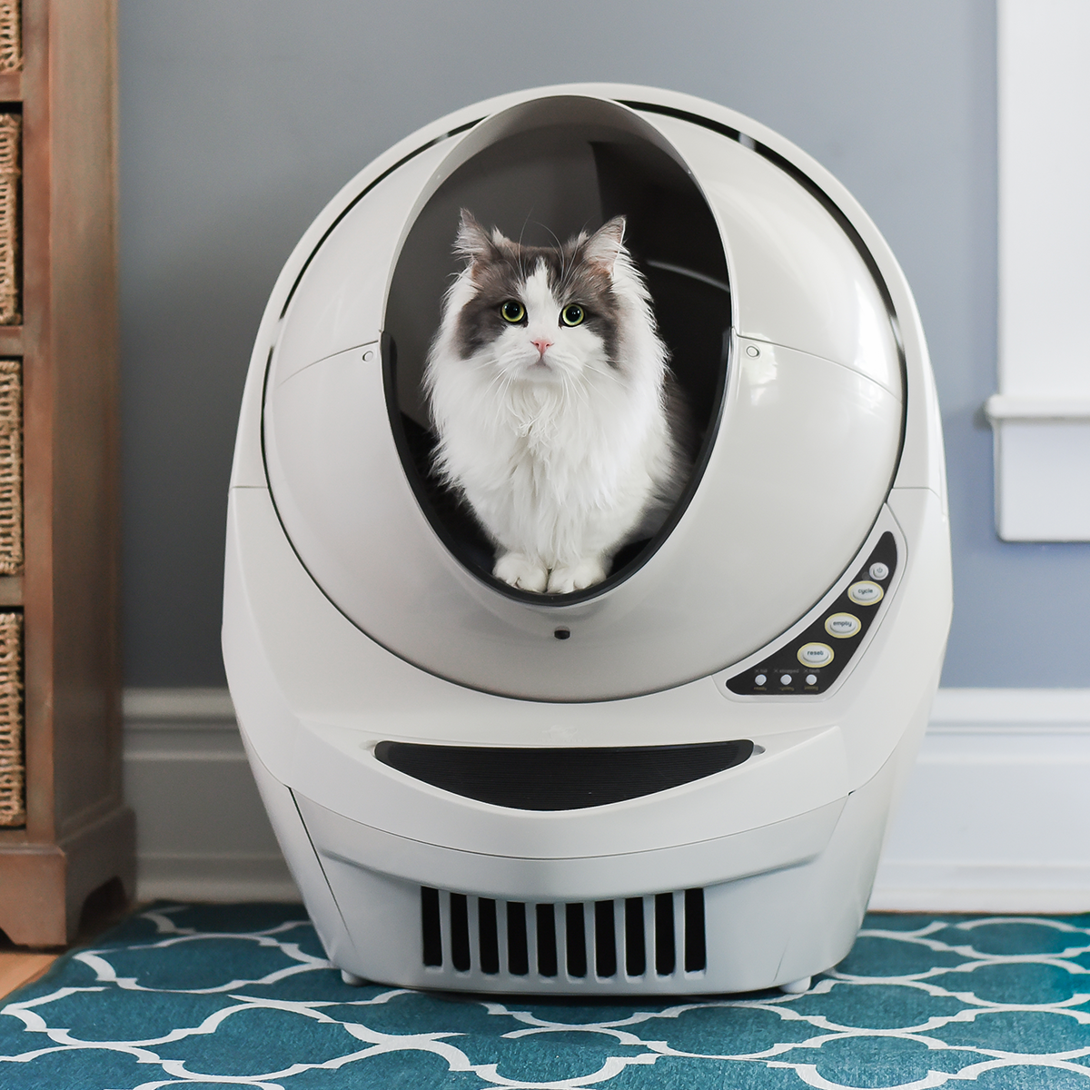 Litter-Robot 3 Connect (Beige) w/ 24 Month Extended Warranty