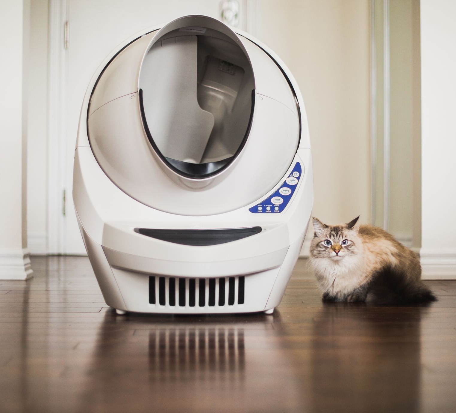 Litter-Robot 3 Connect Automatic Self-Cleaning Litter Box - Grey - Click to Enlarge
