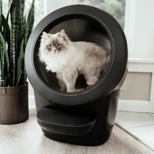Litière à Nettoyage Automatique Litter-Robot 4 - Noir (EU)