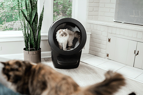 Litter-Robot 4 Automatic Litter Box (Black) w/ 24-Month Extended Warranty - Click to Enlarge