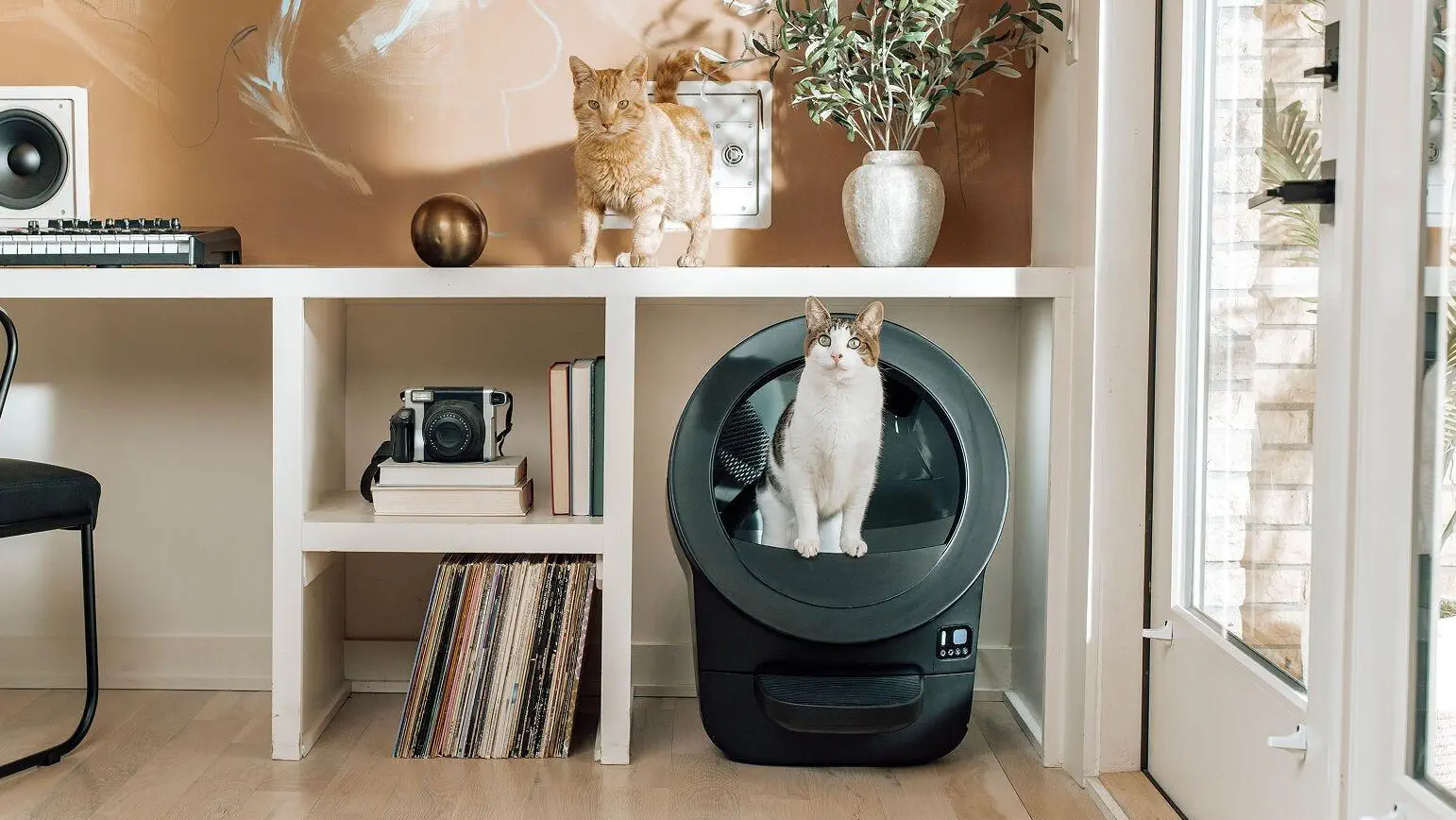 Litter-Robot EVO multi-cat household lifestyle