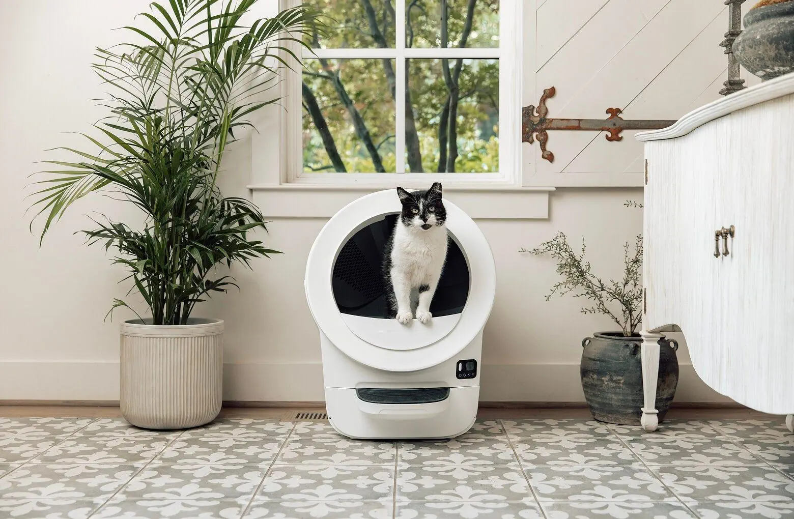 Litter-Robot EVO white with tuxedo cat in home setting