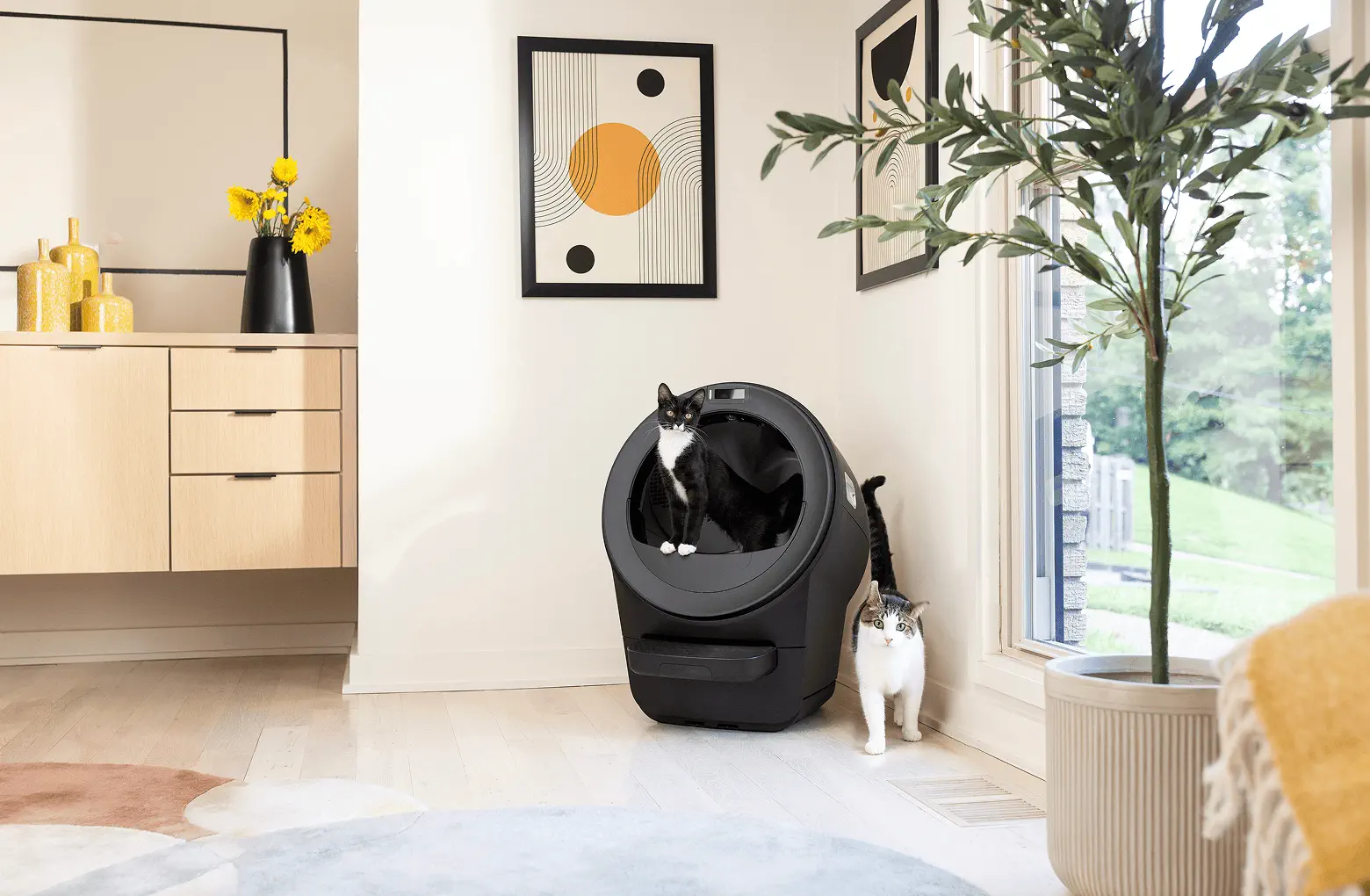 Litter-Robot 5 multi-cat household