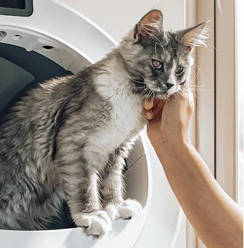 Litter-Robot 5 large cat and kitten use