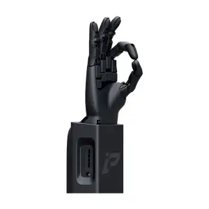 PL-Universe PL-WitHand Main Dextre