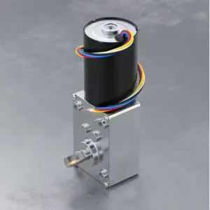 12V 230RPM DC Brushless Reduction Worm Gear Motor 5840-3650