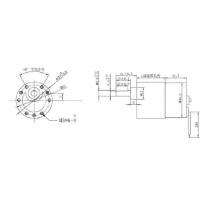37D 24V 7RPM 3625 Brushless DC Gearmotors
