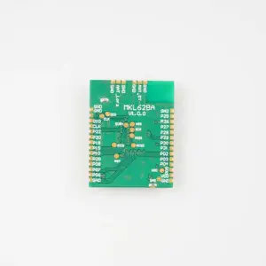 Lorawan Module