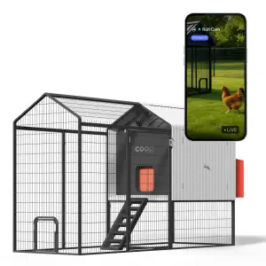 Smart Coop with Steel Run – Weatherproof, Predator-Proof Chicken Coop with Dual Smart Cameras, Automatic Door, Solar Optional for 4-6 Chickens