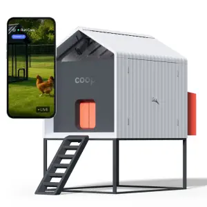 Smart Coop All-in-One Chicken Bundle – Predator-Proof All-Weather Chicken Coop with Dual Smart Cameras, Automatic Door, Solar Kit, All-Weather Tarp for 4-6 Chickens