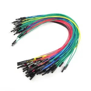 Kit de 100 Fils Connecteurs 12 po. M/F SFE