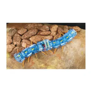 Robot mille-pattes Tamiya