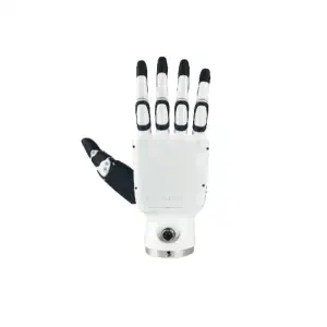 Inspire RH56DFQ Main Dextre pour Unitree H2 (Droite)