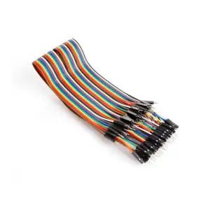 Fil de cavalier mâle à mâle de 40 broches de 30 cm (câble plat)